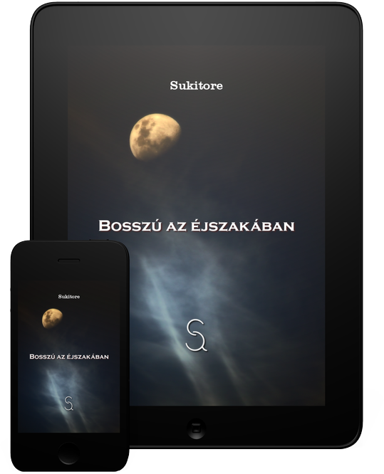 Bosszú az éjszakában ebook